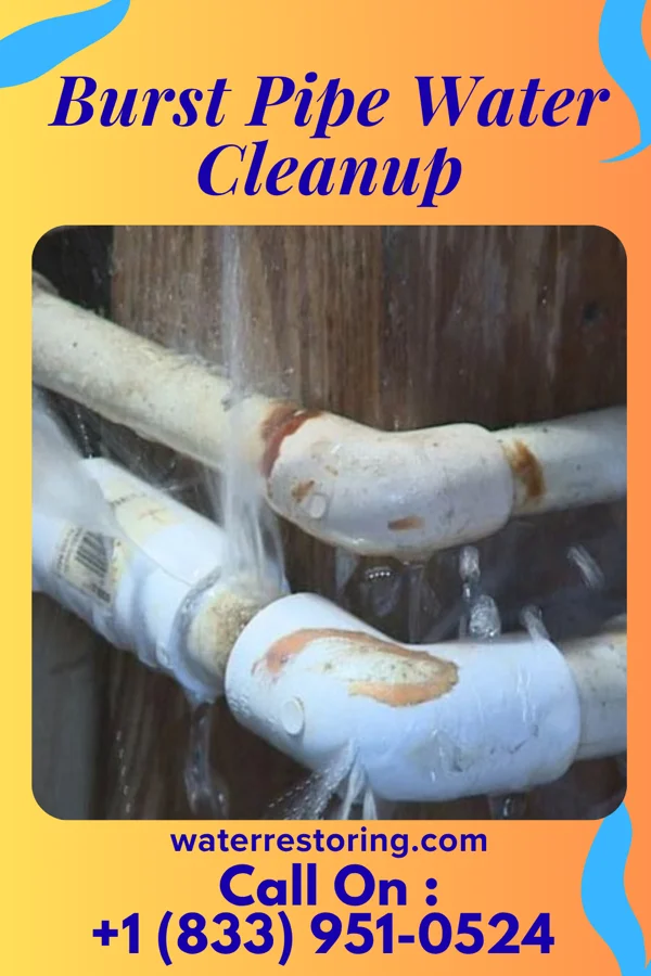 Burst Pipe Water Cleanup in Holbrook, NE