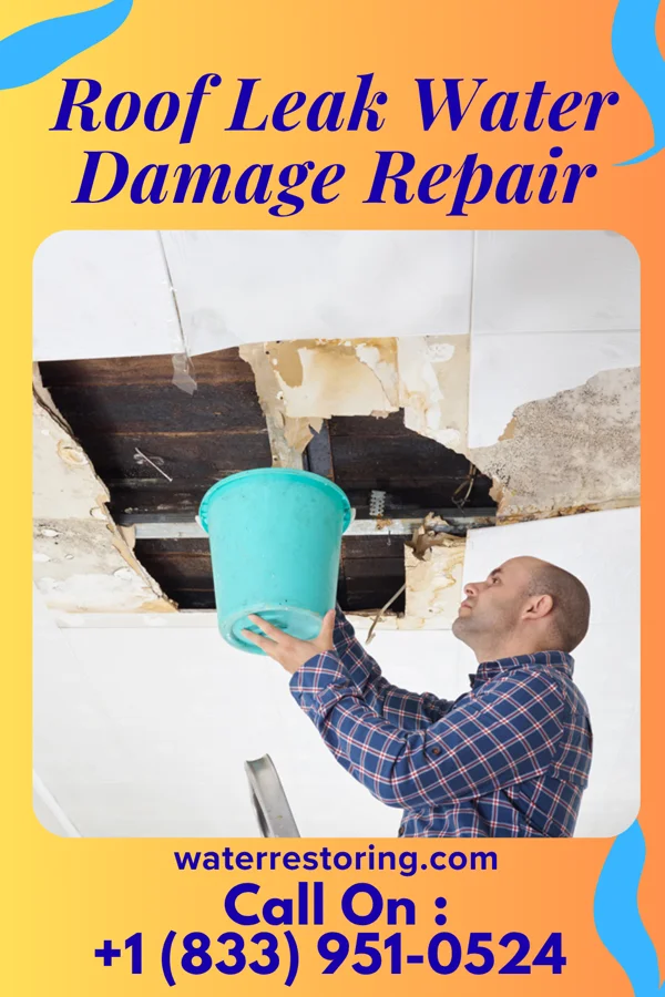 Roof Leak Water Damage Repair in Holbrook, NE